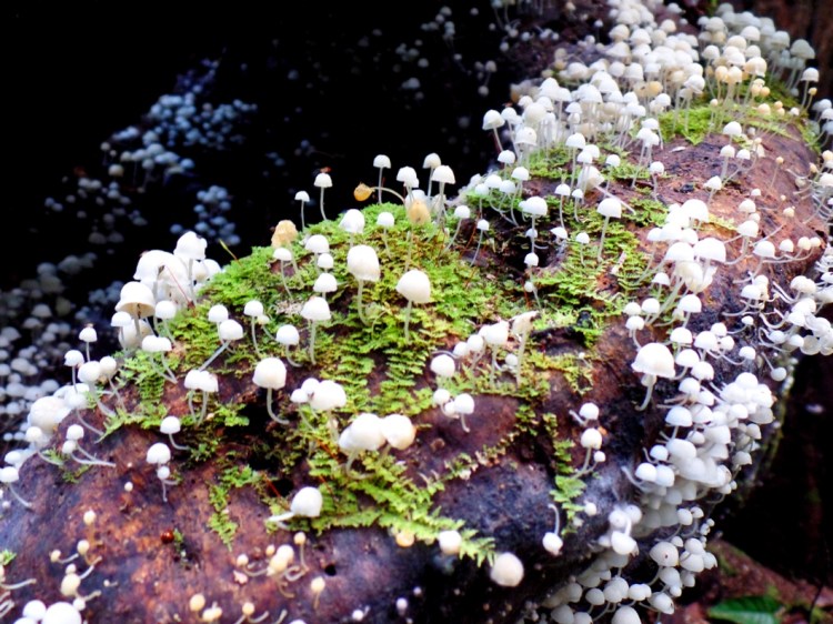 ???????????????????????