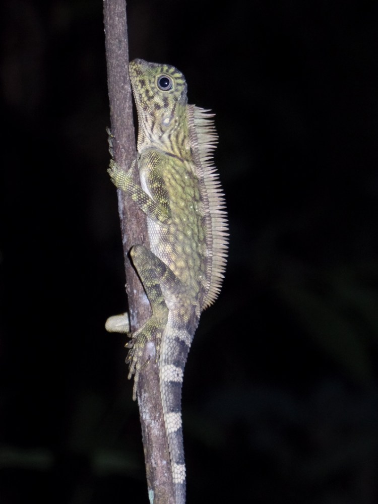 ???????????????????????