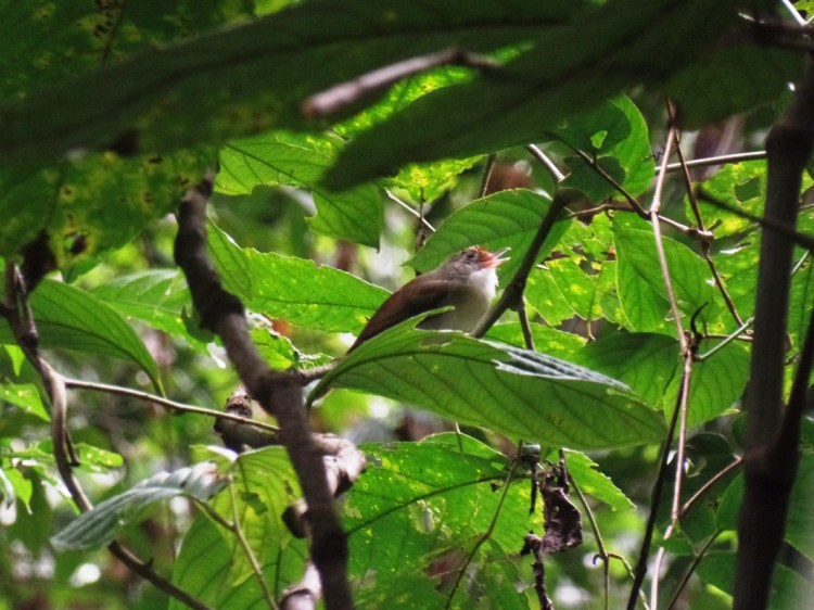 ???????????????????????