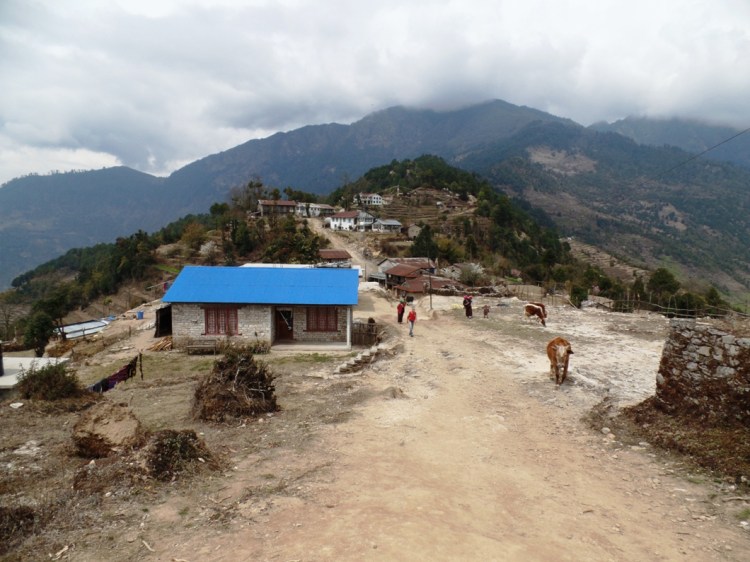 ???????????????????????