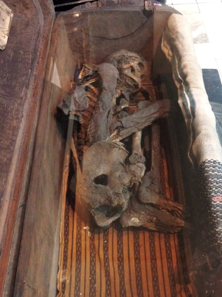 ???????????????????????