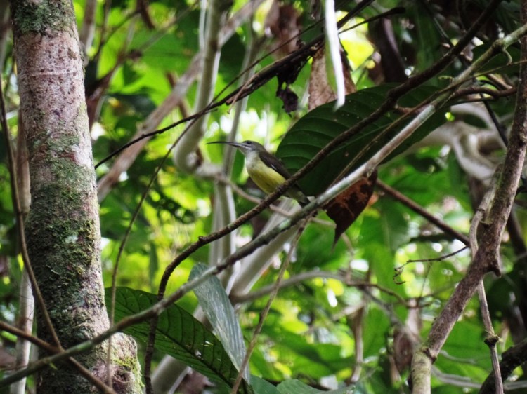 ???????????????????????