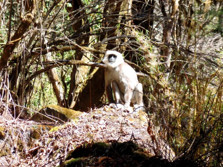 ???????????????????????