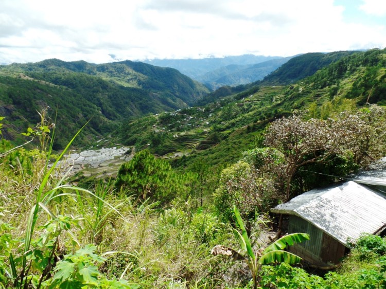 ???????????????????????