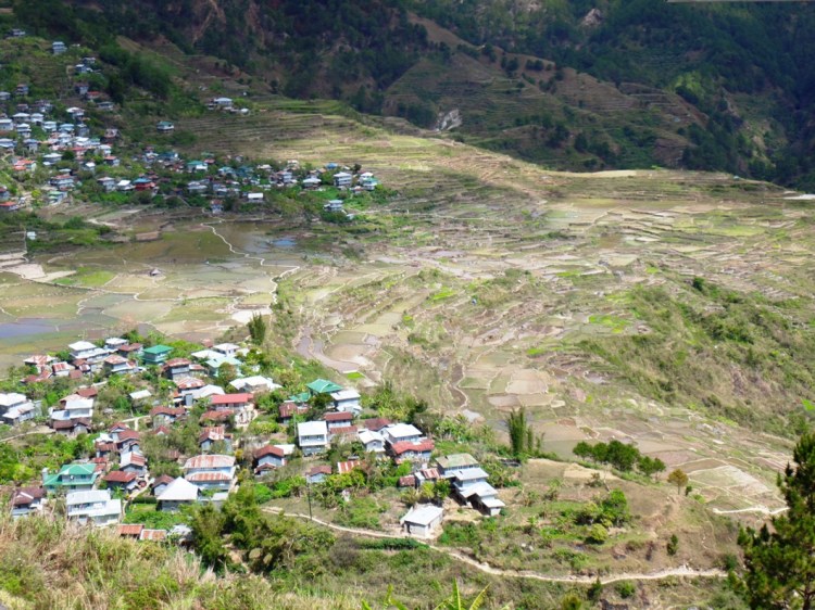 ???????????????????????