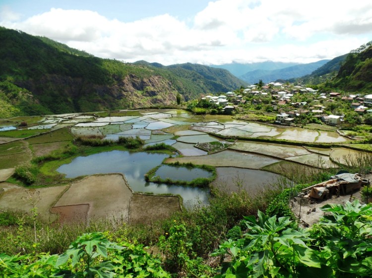 ???????????????????????