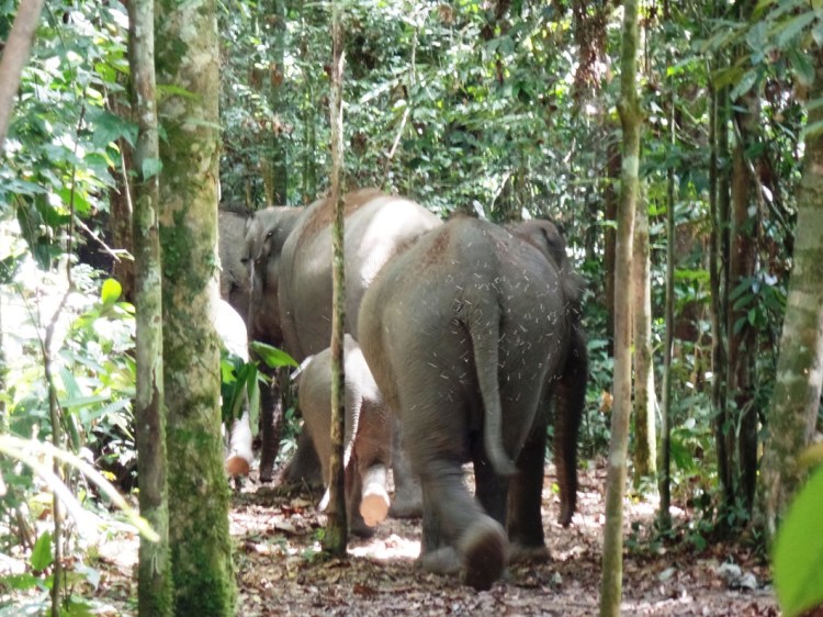 ???????????????????????