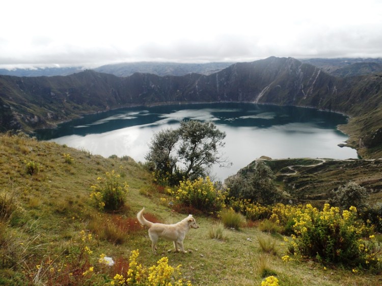 SAMSUNG CAMERA PICTURES