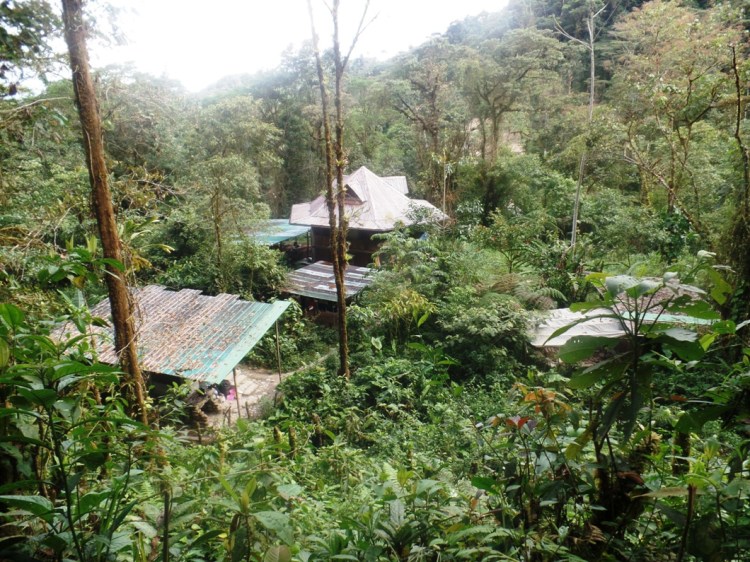 SAMSUNG CAMERA PICTURES