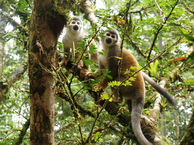 SAMSUNG CAMERA PICTURES