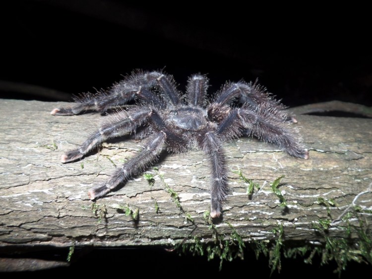 SAMSUNG CAMERA PICTURES