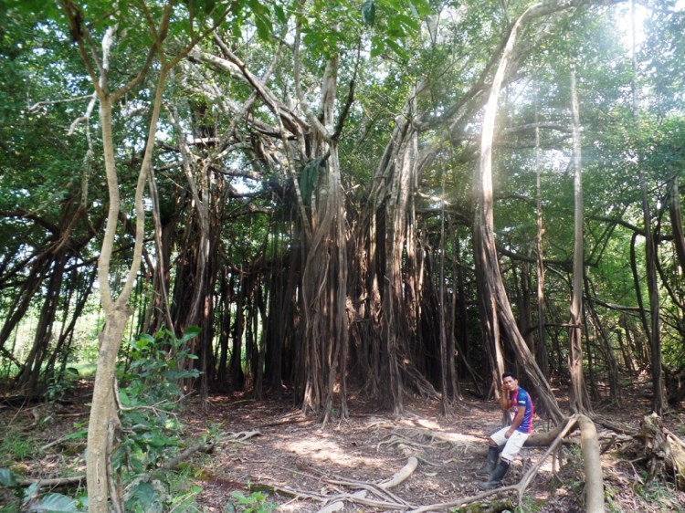 SAMSUNG CAMERA PICTURES