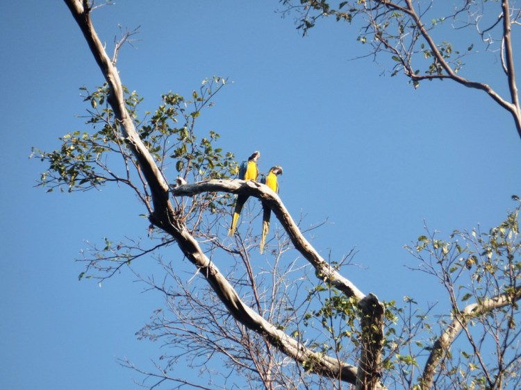 SAMSUNG CAMERA PICTURES