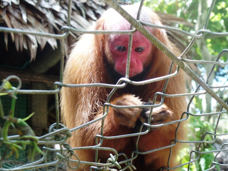 SAMSUNG CAMERA PICTURES