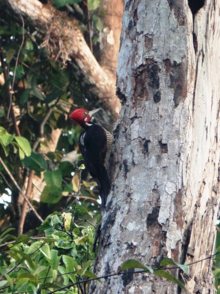 SAMSUNG CAMERA PICTURES