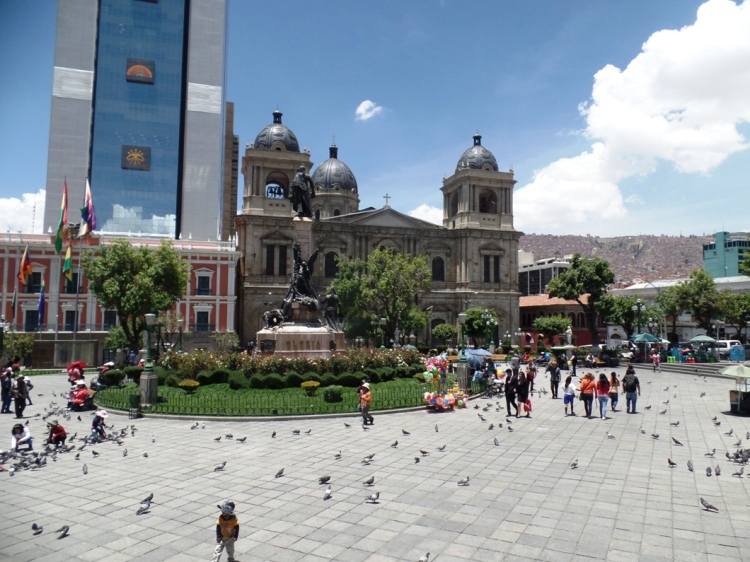 SAMSUNG CAMERA PICTURES