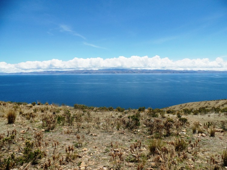 SAMSUNG CAMERA PICTURES