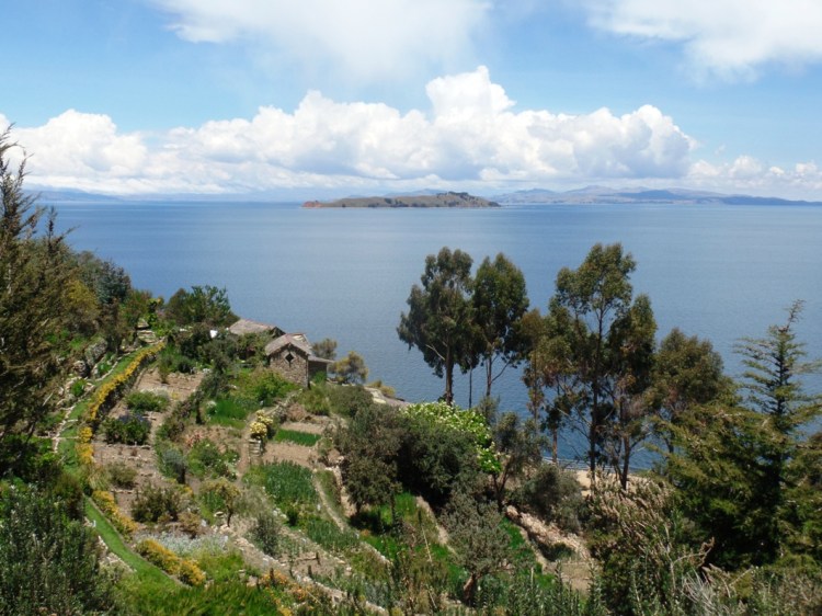 SAMSUNG CAMERA PICTURES