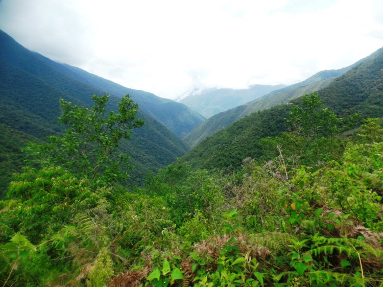 SAMSUNG CAMERA PICTURES