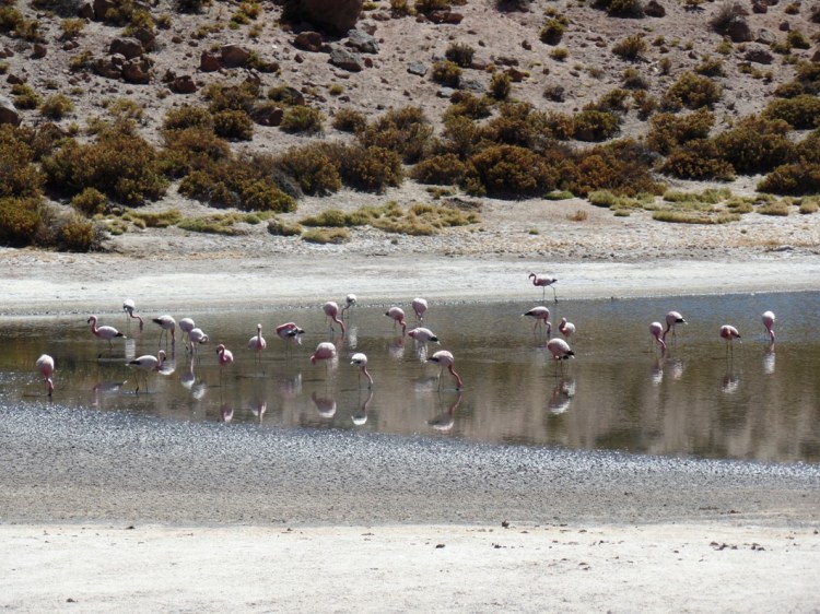 SAMSUNG CAMERA PICTURES